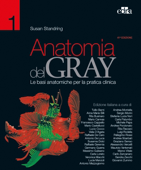 Anatomia del Gray 41 ed. - Susan Standring