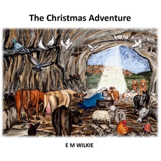 The Christmas Adventure by E. M. Wilkie