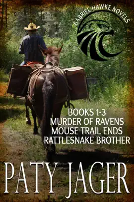 Read: Gabriel Hawke Novels Books Book 1-3