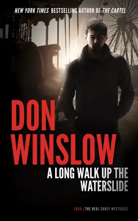 Read: A Long Walk up the Water Book Slide