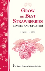 Grow the Best Strawberries Louise Riotte
