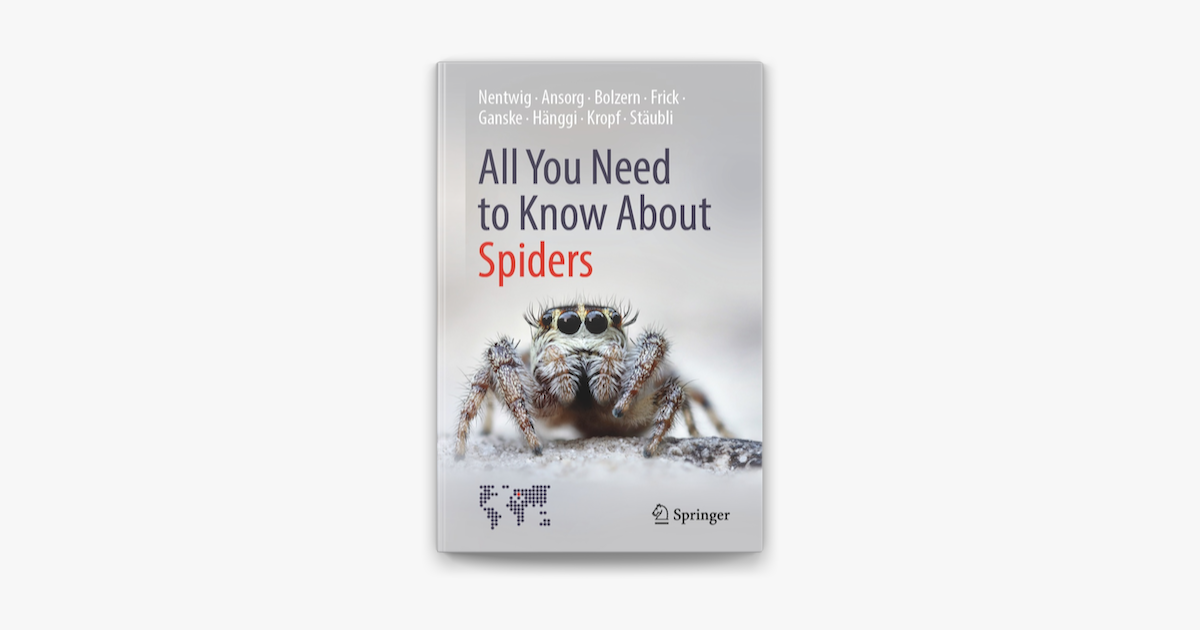 All You Need to Know About Spiders