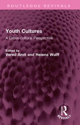 Read: Book Youth Cultures