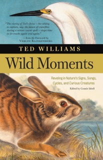 Wild Moments by Ted Williams, Verlyn Klinkenborg & Connie Isbell