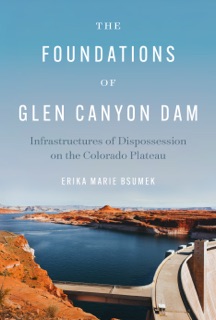The Foundations of Glen Canyon Dam by Erika Marie Bsumek
