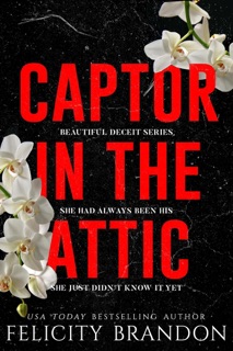 Captor In The Attic by Felicity Brandon