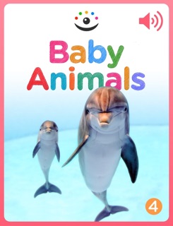 Baby Animals by Andrew Alex