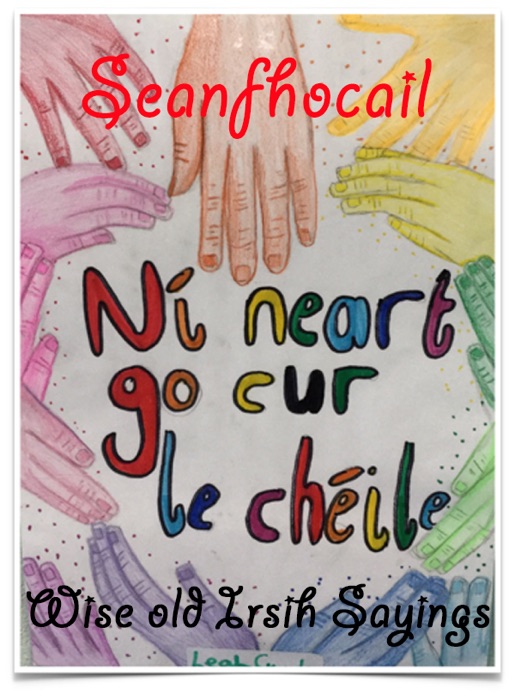 Seanfhocail na Gaeilge