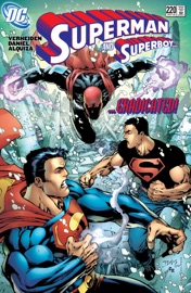 Superman (1986-2006) #220 - Mark Verheiden & Tony Daniel