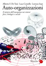 Auto-organizzazioni