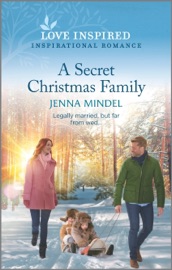 A Secret Christmas Family - Jenna Mindel