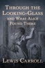 Book Through the Looking-Glass