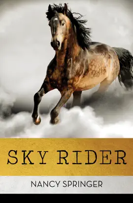 Read: Sky Book Rider