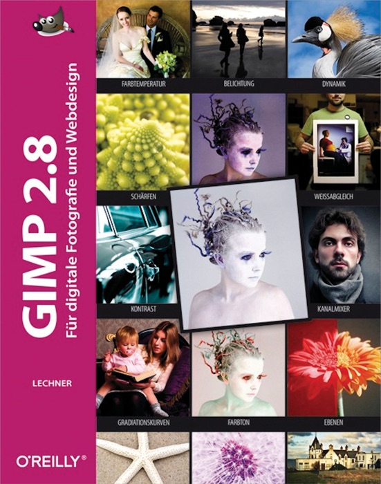 Gimp 2.8