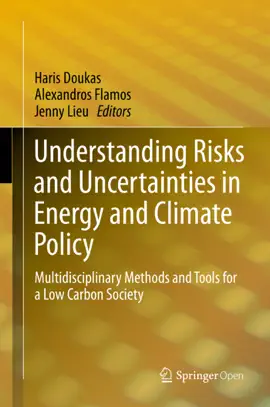 Read: Understanding Risks and Uncertainties Book in Energy and Climate Policy