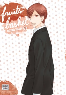 Fruits Basket Perfect T08 by Natsuki Takaya