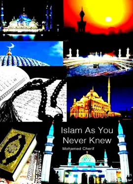 Read: Islam As Book You Never Knew