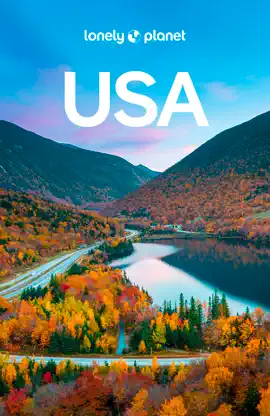 USA 12