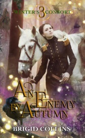 An Enemy by Autumn - Brigid Collins