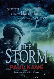 The Storm - Paul Kane