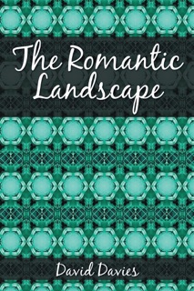 The Romantic Landscape by David Davies