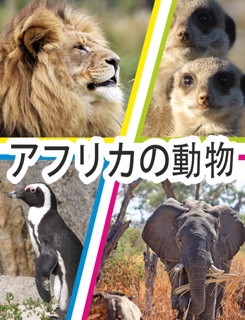アフリカの動物 by Herman Brummer