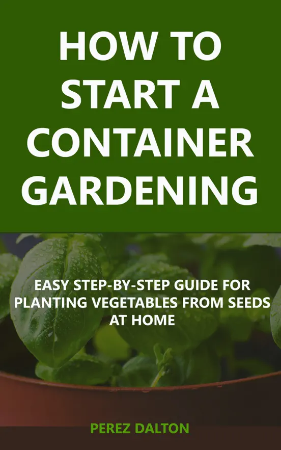 How to Start a Container Gardening