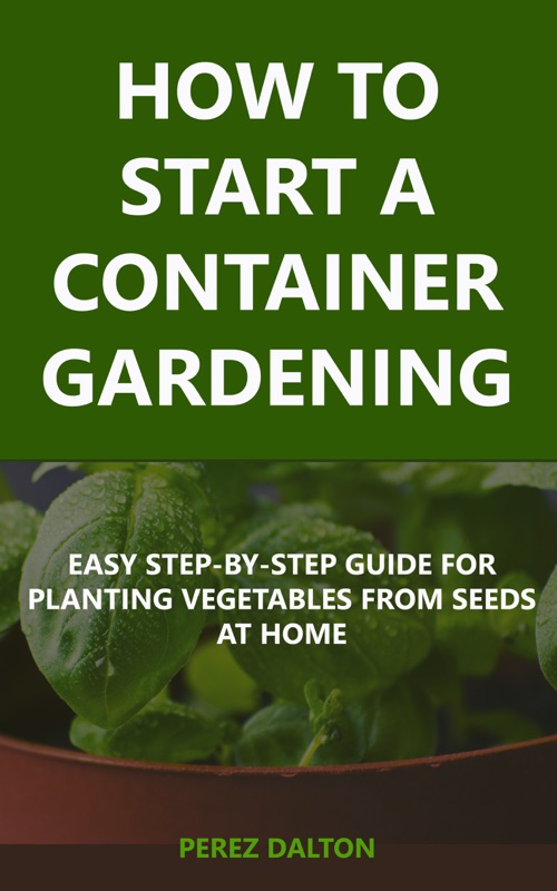 How to Start a Container Gardening