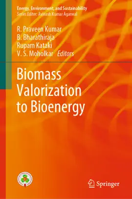 Read: Book Biomass Valorization to Bioenergy