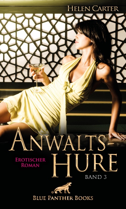 Anwaltshure Band 3 / Erotischer Roman
