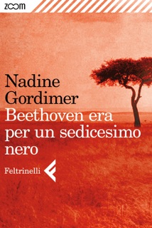 Beethoven era per un sedicesimo nero by Nadine Gordimer