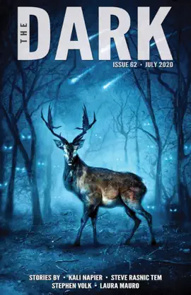 Read: The Dark Issue 62 Book