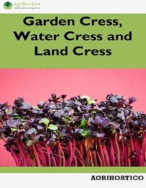 Garden Cress, Water Cress and Land Cress - AGRIHORTICO