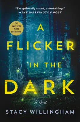 Read: A Flicker in the Book Dark