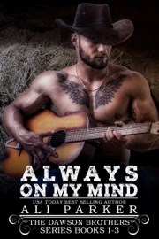 The Dawson Brothers Box Set Books 1-3