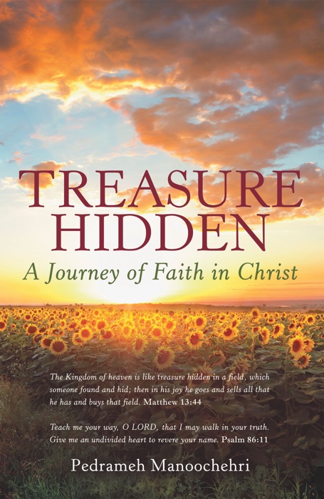 Treasure Hidden