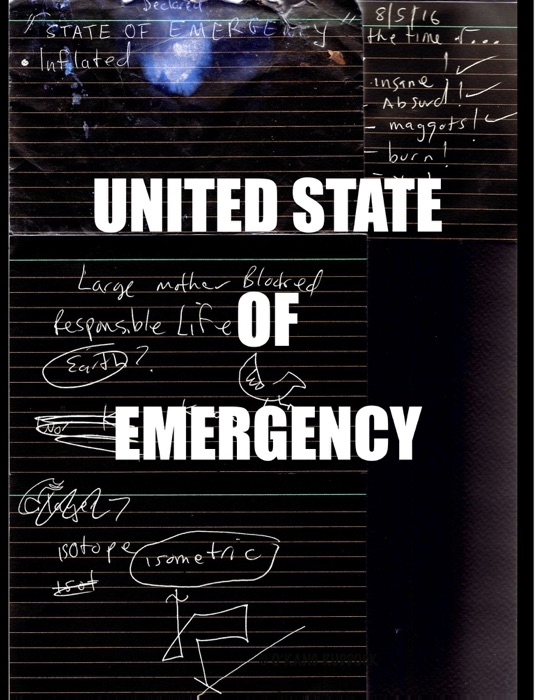 UNITED STATE OF EMERGENCY