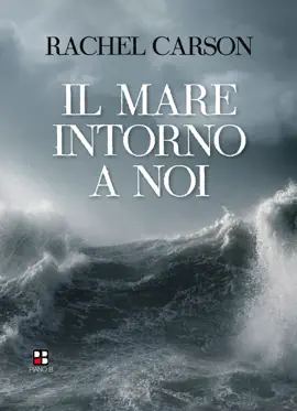 Read: Il mare intorno a Book noi