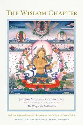 Read: The Wisdom Chapter Book
