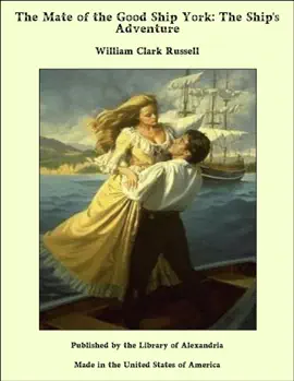 Read: The Mate of the Good Book Ship York: The Ship's Adventure