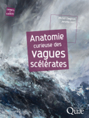 Anatomie curieuse des vagues scélérates - Michel Olagnon & Janette Kerr