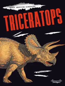 Read: Triceratops