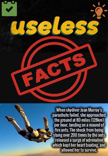 Useless facts by Neeraj Kamboj