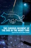 Book The Curious Incident of the Dog in the Night-Time