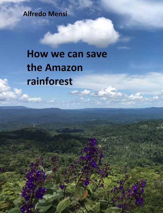 How We Can Save the Amazon Rainforest