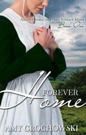 Forever Home: A Contemporary Amish Romance - Amy Grochowski