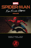 Will Corona Pilgrim, Peter David, Stan Lee, David Michelinie & Dan Slott - Spider-Man artwork