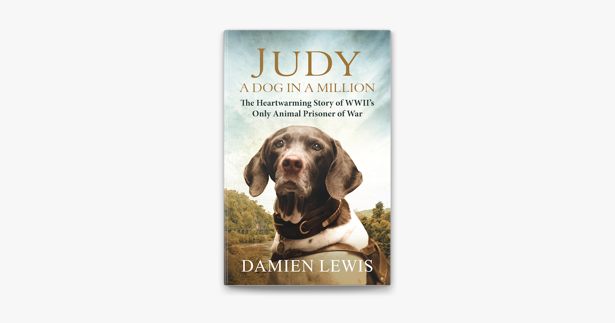 Judy: A Dog in a Million on Apple Books