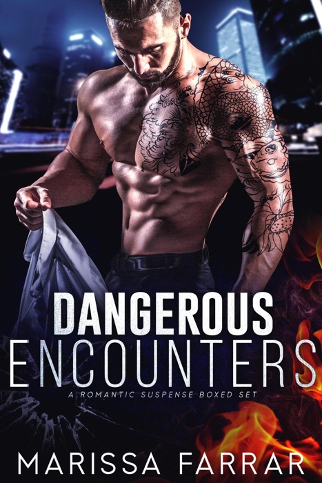 Dangerous Encounters: A Romantic Suspense Boxed Set