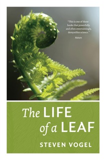 The Life of a Leaf by Steven Vogel